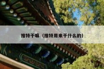 推特干嘛（推特用来干什么的）