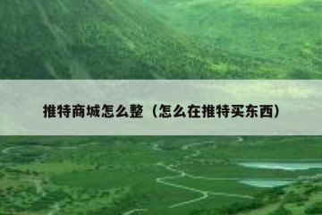 推特商城怎么整（怎么在推特买东西）