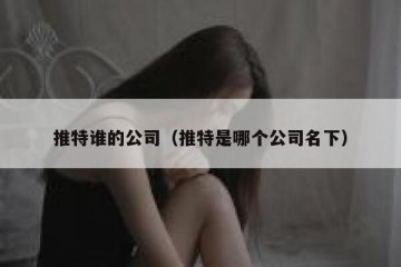 推特谁的公司（推特是哪个公司名下）