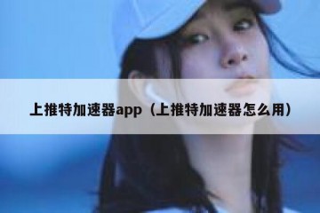 上推特加速器app（上推特加速器怎么用）
