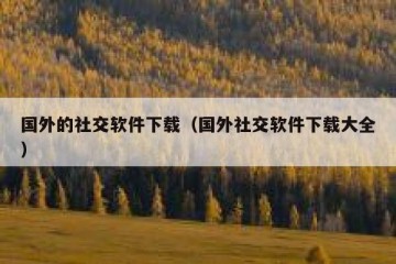 国外的社交软件下载（国外社交软件下载大全）