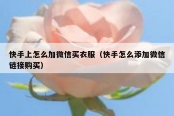快手上怎么加微信买衣服（快手怎么添加微信链接购买）