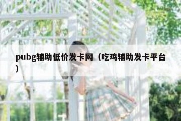 pubg辅助低价发卡网（吃鸡辅助发卡平台）