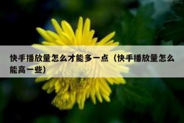 快手播放量怎么才能多一点（快手播放量怎么能高一些）