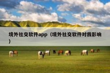 境外社交软件app（境外社交软件对我影响）