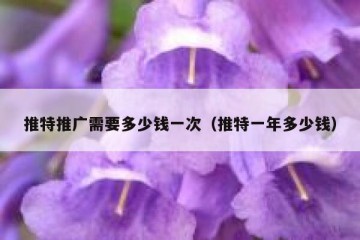 推特推广需要多少钱一次（推特一年多少钱）