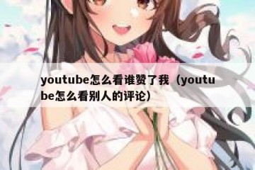 youtube怎么看谁赞了我（youtube怎么看别人的评论）