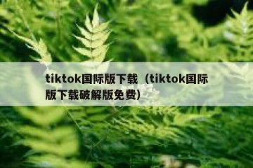 tiktok国际版下载（tiktok国际版下载破解版免费）