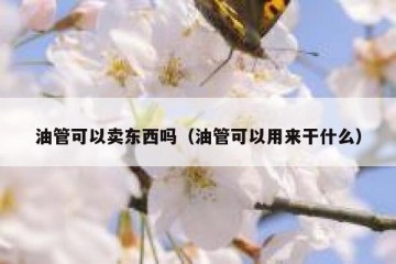油管可以卖东西吗（油管可以用来干什么）