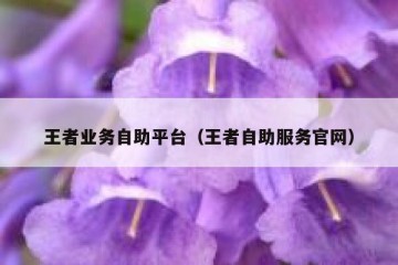 王者业务自助平台（王者自助服务官网）