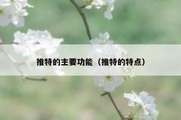 推特的主要功能（推特的特点）