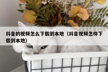 抖音的视频怎么下载到本地（抖音视频怎样下载到本地）