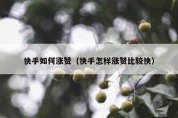快手如何涨赞（快手怎样涨赞比较快）