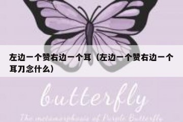 左边一个赞右边一个耳（左边一个赞右边一个耳刀念什么）