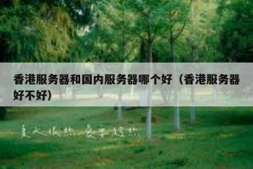 香港服务器和国内服务器哪个好（香港服务器好不好）