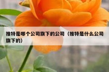 推特是哪个公司旗下的公司（推特是什么公司旗下的）