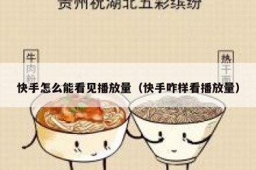 快手怎么能看见播放量（快手咋样看播放量）