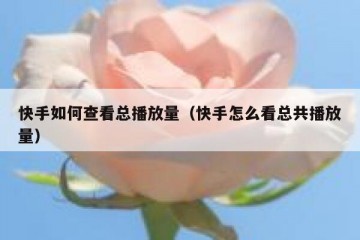 快手如何查看总播放量（快手怎么看总共播放量）