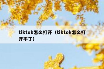 tiktok怎么打开（tiktok怎么打开不了）