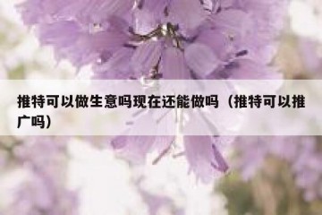推特可以做生意吗现在还能做吗（推特可以推广吗）