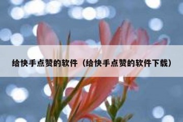 给快手点赞的软件（给快手点赞的软件下载）