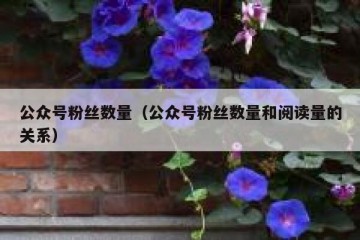 公众号粉丝数量（公众号粉丝数量和阅读量的关系）