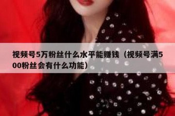 视频号5万粉丝什么水平能赚钱（视频号满500粉丝会有什么功能）