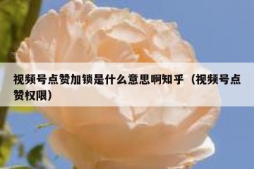 视频号点赞加锁是什么意思啊知乎（视频号点赞权限）