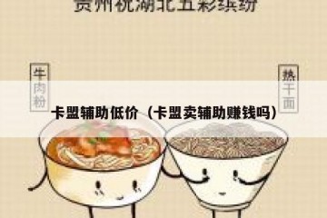 卡盟辅助低价（卡盟卖辅助赚钱吗）