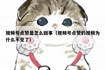 视频号点赞是怎么回事（视频号点赞的视频为什么不见了）