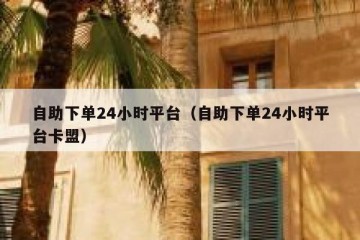 自助下单24小时平台（自助下单24小时平台卡盟）