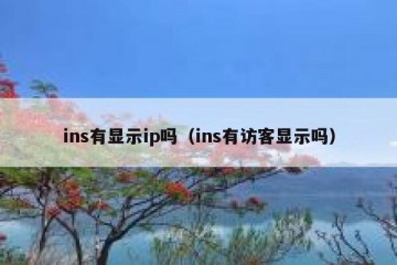 ins有显示ip吗（ins有访客显示吗）