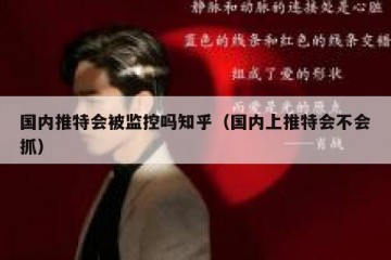 国内推特会被监控吗知乎（国内上推特会不会抓）