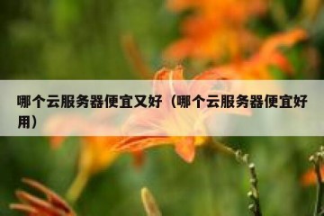 哪个云服务器便宜又好（哪个云服务器便宜好用）