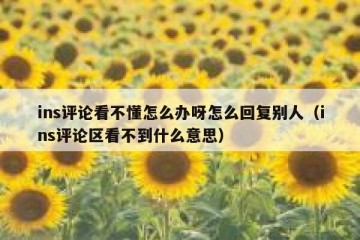 ins评论看不懂怎么办呀怎么回复别人（ins评论区看不到什么意思）
