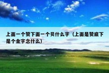 上面一个赞下面一个贝什么字（上面是赞底下是个金字念什么）