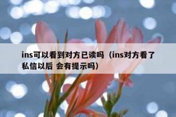 ins可以看到对方已读吗（ins对方看了私信以后 会有提示吗）