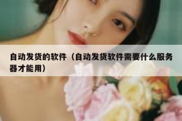自动发货的软件（自动发货软件需要什么服务器才能用）