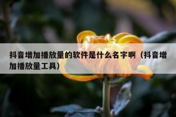 抖音增加播放量的软件是什么名字啊（抖音增加播放量工具）