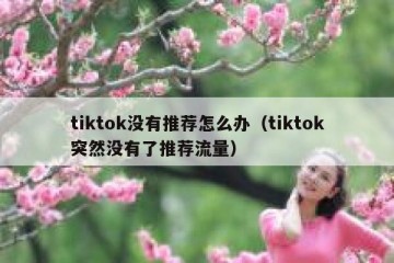 tiktok没有推荐怎么办（tiktok突然没有了推荐流量）