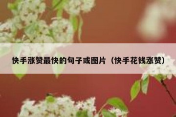 快手涨赞最快的句子或图片（快手花钱涨赞）
