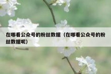 在哪看公众号的粉丝数据（在哪看公众号的粉丝数据呢）