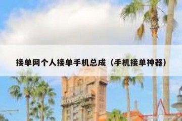 接单网个人接单手机总成（手机接单神器）