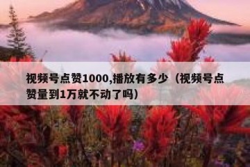 视频号点赞1000,播放有多少（视频号点赞量到1万就不动了吗）