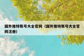 国外推特账号大全官网（国外推特账号大全官网注册）