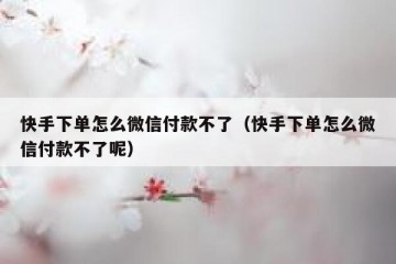 快手下单怎么微信付款不了（快手下单怎么微信付款不了呢）