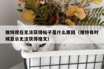 推特现在无法获得帖子是什么原因（推特有时候显示无法获得推文）