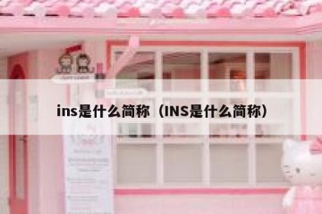 ins是什么简称（INS是什么简称）