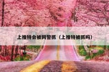 上推特会被网警抓（上推特被抓吗）