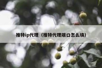 推特ip代理（推特代理端口怎么填）